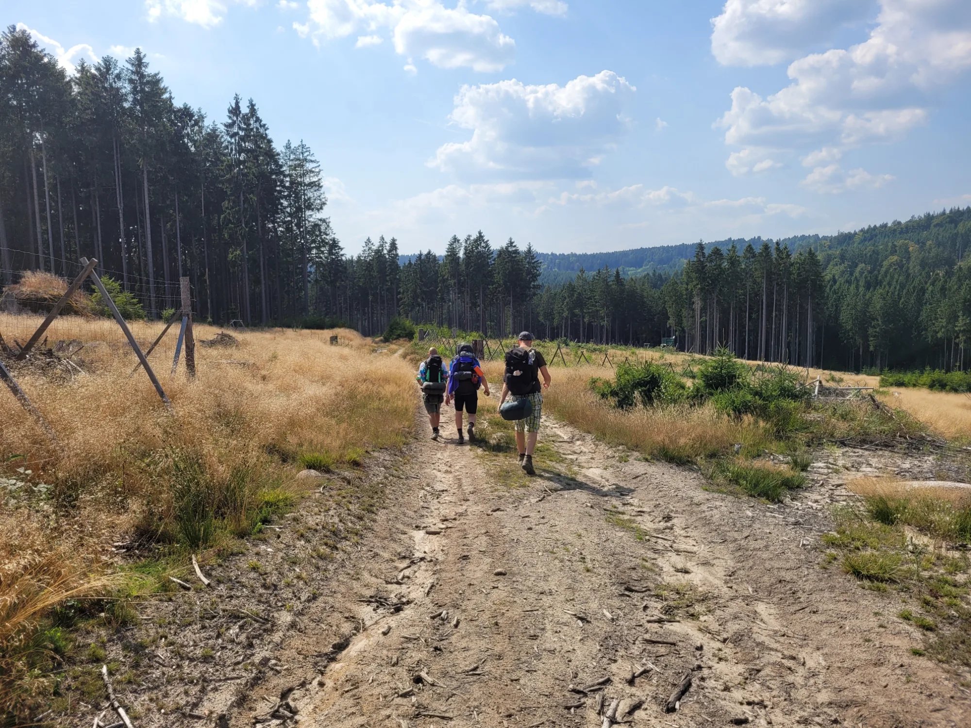 Přechod Českého lesa — sever 2025 13